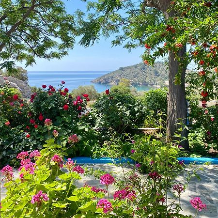 Studios Ioanna Limnionas Samos Маратокампос Экстерьер фото