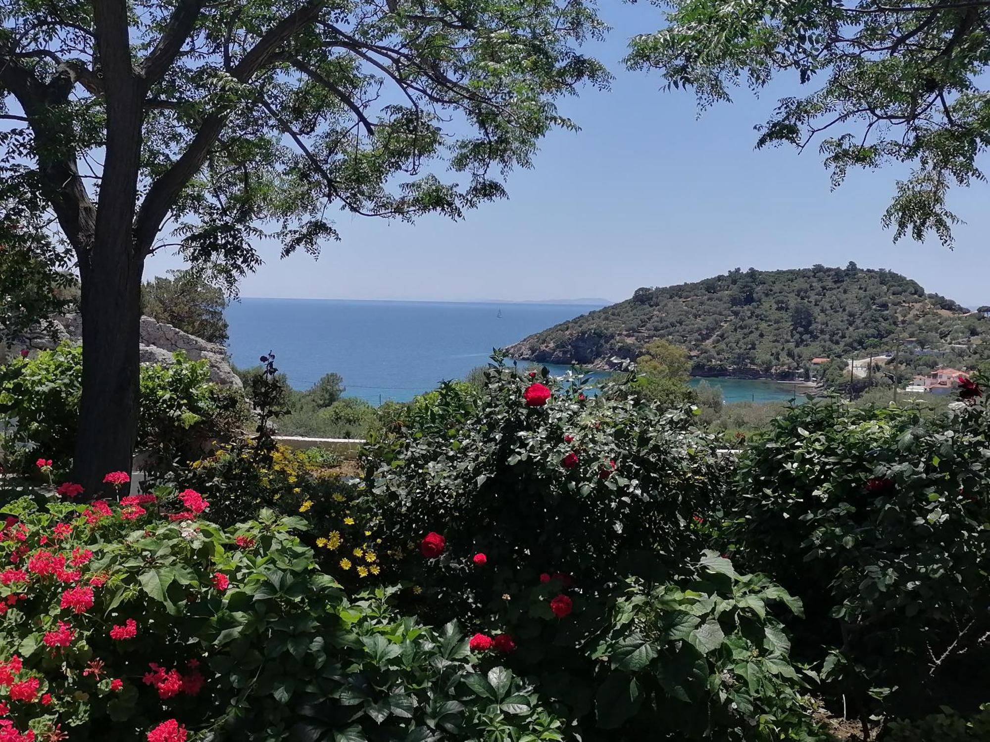 Studios Ioanna Limnionas Samos Маратокампос Экстерьер фото