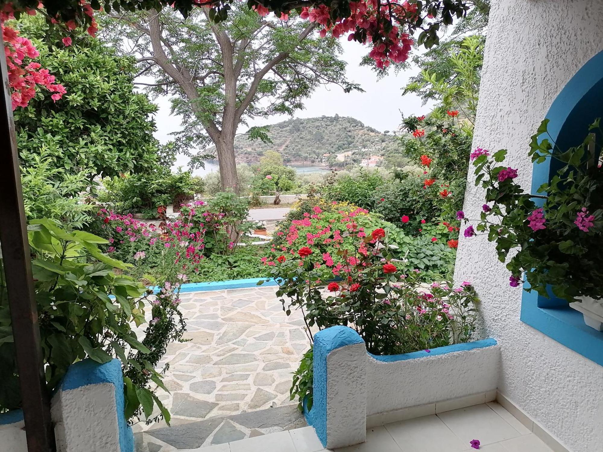 Studios Ioanna Limnionas Samos Маратокампос Экстерьер фото