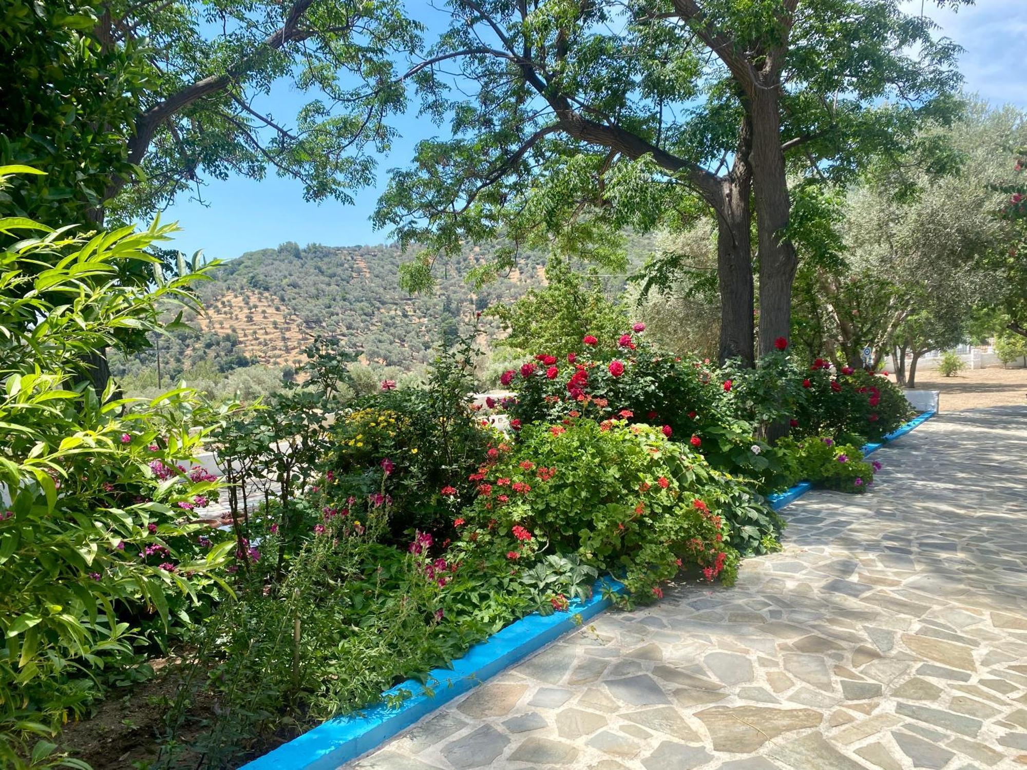 Studios Ioanna Limnionas Samos Маратокампос Экстерьер фото